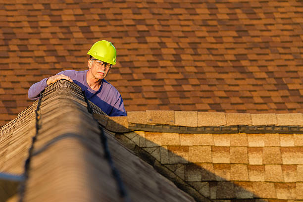 Best Roof Gutter Cleaning  in Bellingham, WA