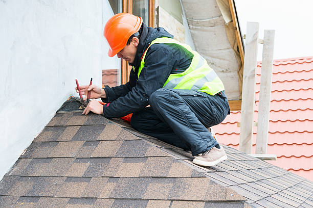 Best Roof Gutter Cleaning  in Bellingham, WA